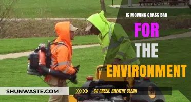 Is Mowing Grass Harming Our Planet? Environmental Impact Explored