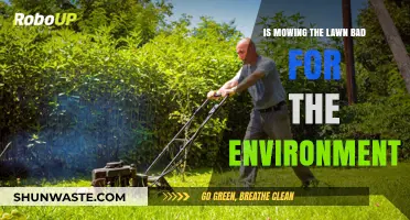 Is Lawn Mowing Harming Our Planet? Environmental Impact Explored