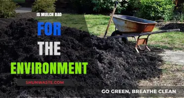 Mulch and the Environment: Uncovering Its Ecological Impact and Sustainability