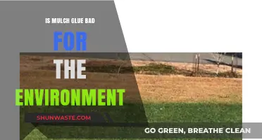 Mulch Glue: Environmental Impact and Sustainable Landscaping Alternatives