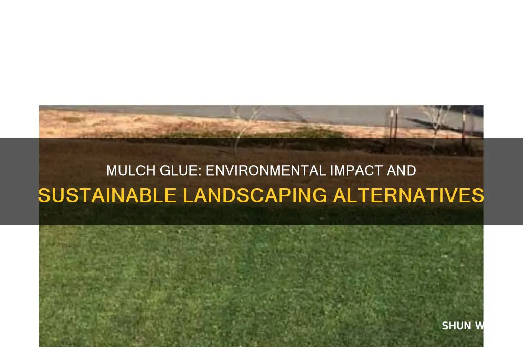 is mulch glue bad for the environment