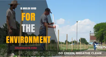 Mulch Benefits: How It Enhances Soil Health and Reduces Environmental Impact