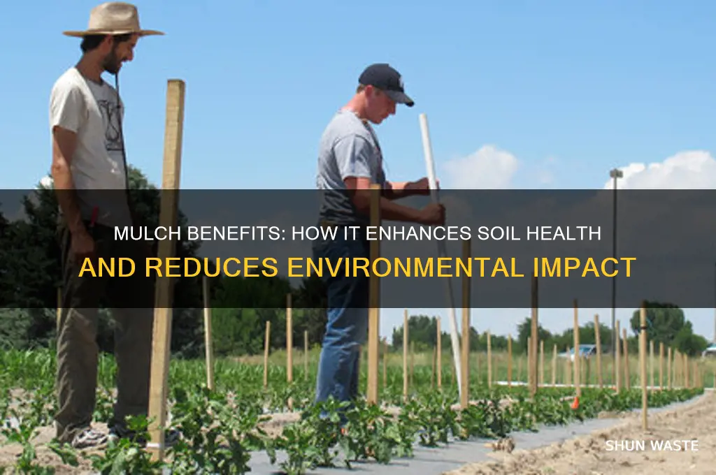 is mulch good for the environment