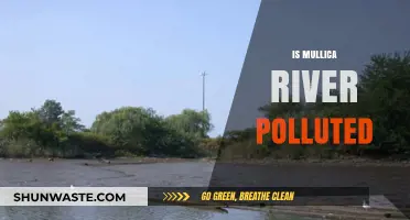 The Mullica River: A Polluted Paradise?