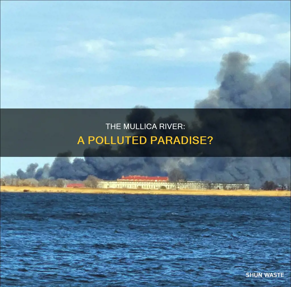 is mullica river polluted