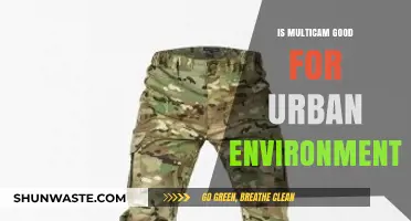 Multicam in the City: Effective Camouflage for Urban Environments?
