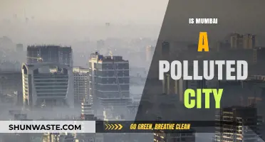 Mumbai's Pollution Problem: A City's Battle