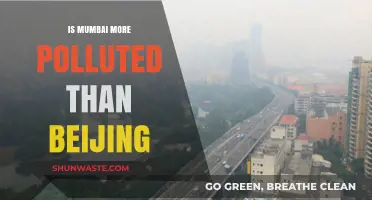 Air Quality Face-Off: Mumbai vs Beijing