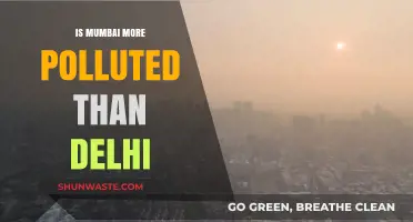 Air Quality Face-off: Mumbai vs Delhi