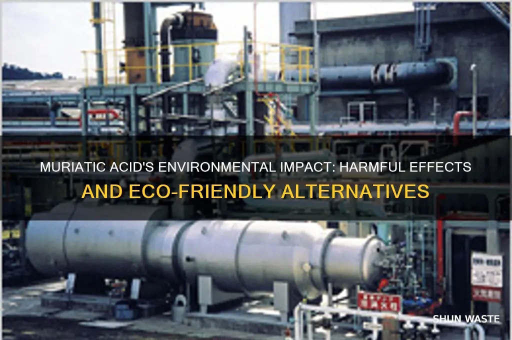 is muriatic acid bad for the environment