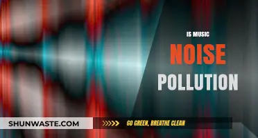 Music or Noise Pollution: What's the Harm?