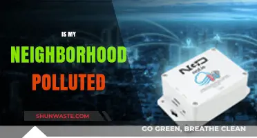 Pollution in Your Neighborhood: What's the Real Story?