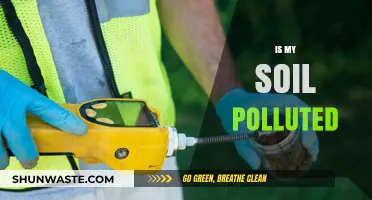 Soil Pollution: Is Your Soil Healthy?