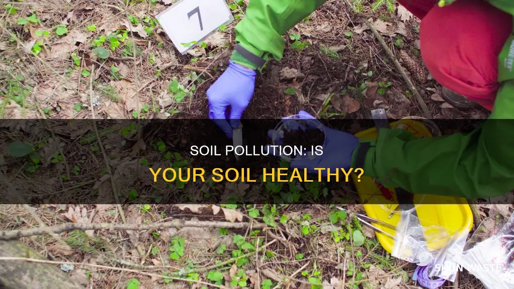 is my soil polluted