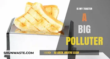 Toasters: Energy Efficiency and the Environment