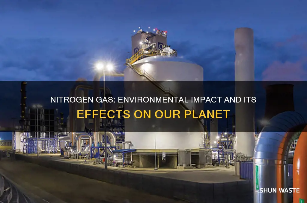 is n2 bad for the environment