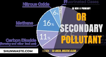 What is N2O? Primary or Secondary Pollutant?