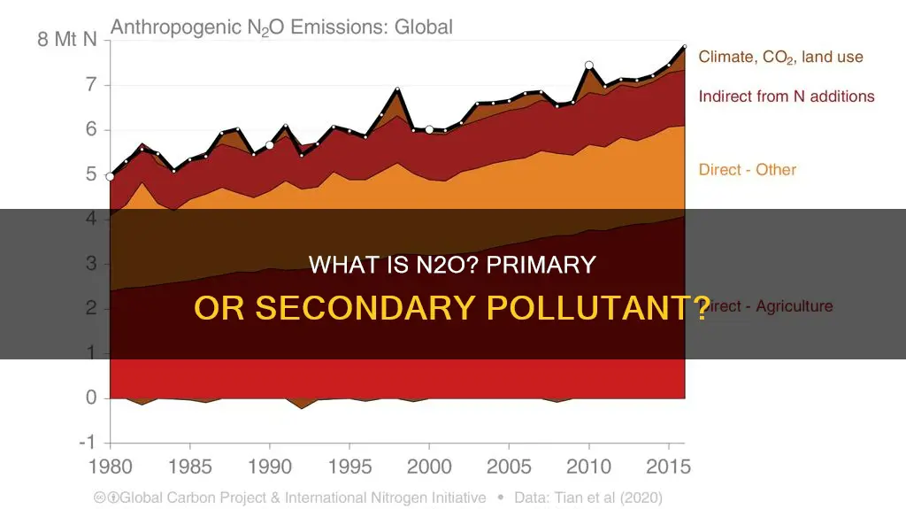 is n2o a primary or secondary pollutant
