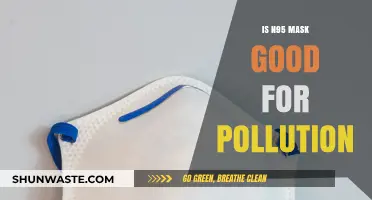 N95 Masks: Effective Pollution Protection?