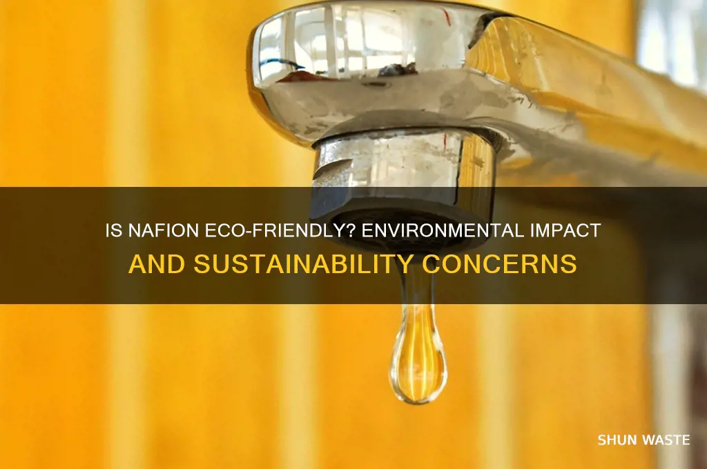 is nafion bad for the environment