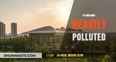 Nanjing's Pollution Problem: A Critical Analysis
