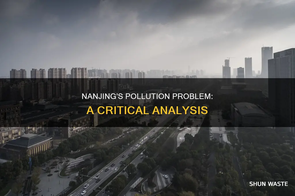 is nanjing heavily polluted