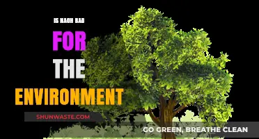 Is NaOH Harmful? Environmental Impact and Sustainable Alternatives