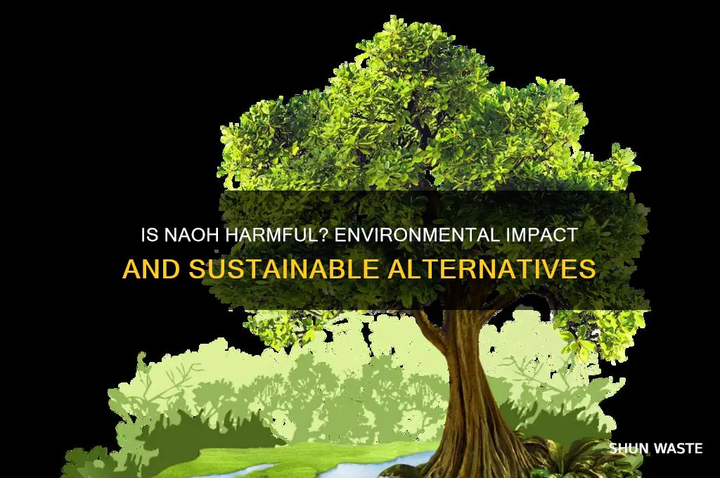 is naoh bad for the environment