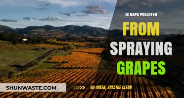 Is Napa Valley's Air Polluted by Pesticide Spraying?