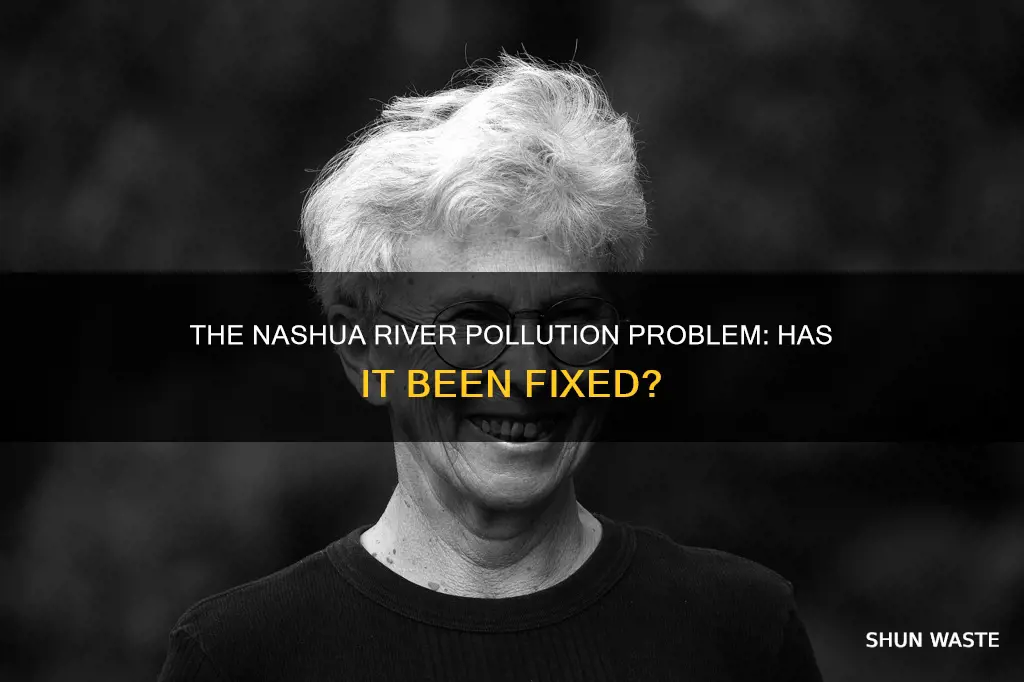 is nashua river still polluted