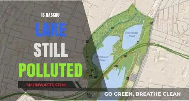 The Pollution Problem of Nassau Lake