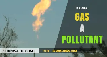Natural Gas: Polluting or Not?