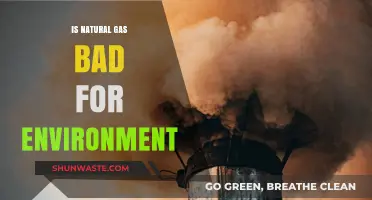 Natural Gas and the Environment: Uncovering Its Ecological Impact and Concerns