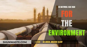 Natural Gas and the Environment: Uncovering Its Ecological Impact and Concerns