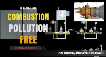 Natural Gas Combustion: Pollution-Free Energy?