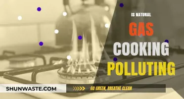The Dark Side of Natural Gas Cooking