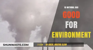 Is Natural Gas Environmentally Friendly? Exploring Its Green Impact