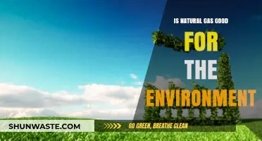 Natural Gas and the Environment: A Sustainable Energy Solution?