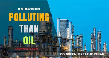 Natural Gas vs Oil: Cleaner Energy?