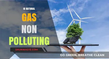 Natural Gas: Clean Energy or Polluting Fossil Fuel?