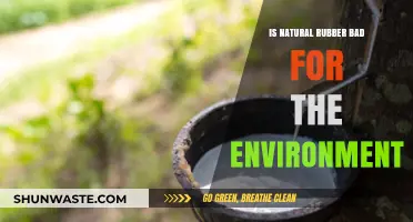Natural Rubber's Environmental Impact: Sustainable or Harmful for Our Planet?