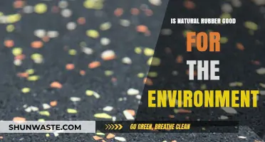 Is Natural Rubber Eco-Friendly? Exploring Its Environmental Impact and Benefits