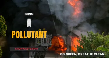 NDMA: A Dangerous Pollutant in Our Environment?