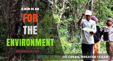 Neem Oil's Environmental Impact: Friend or Foe for Our Planet?