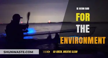 Is Neon Eco-Friendly? Unveiling Its Environmental Impact and Sustainability