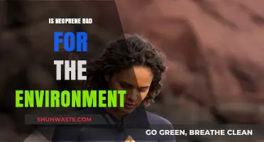 Neoprene's Environmental Impact: Sustainable Choice or Eco-Friendly Myth?