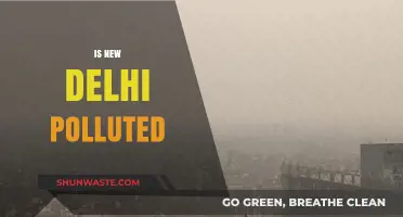 Delhi's Air Pollution: A Public Health Crisis