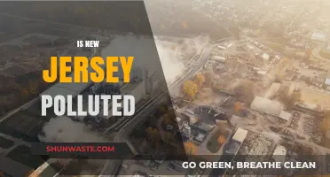 The Pollution Problem in New Jersey