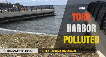 Harbor Health: Is New York's Harbor Polluted?