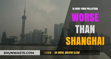 Shanghai vs NYC: Pollution Battle